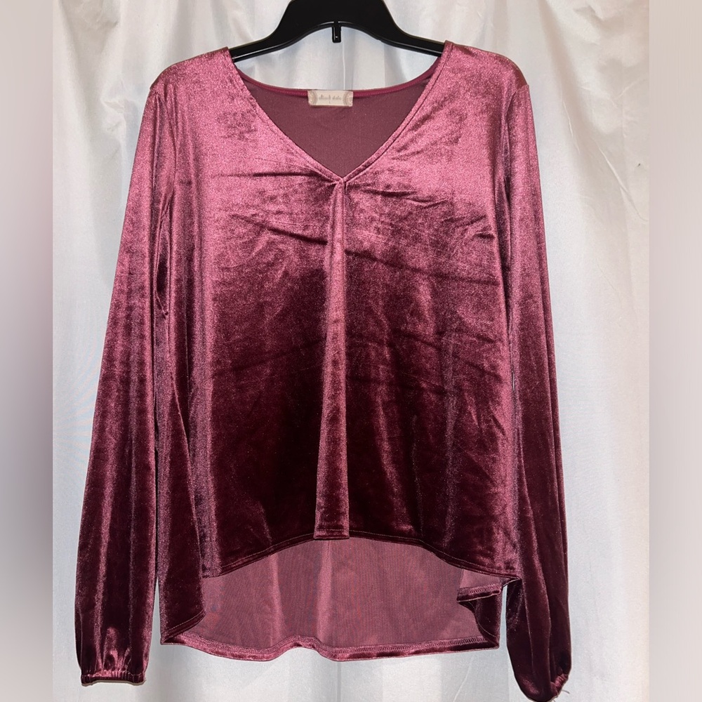 Altard State Maroon Velvet blouse size large